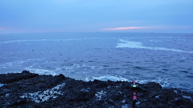 大島 磯 4-50HR・Fの入魂完了です(*`・ω・)ゞ - よ～ぜふｎｏ伊豆釣り日記